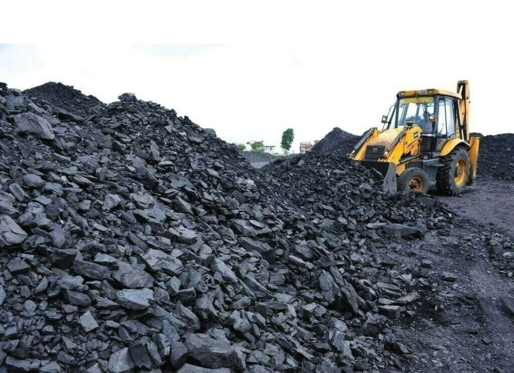 about-us-pale-padogo